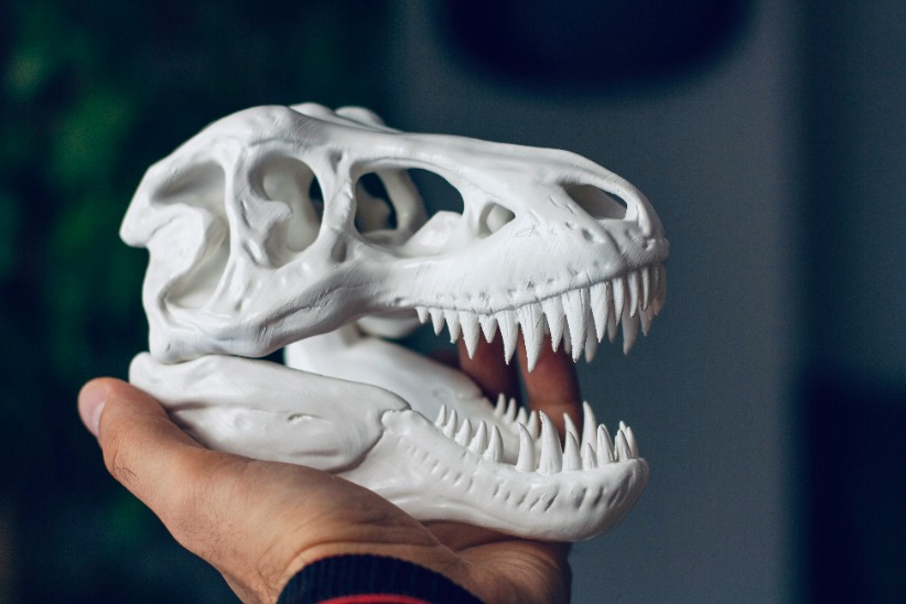 Dinosaur Skull using FDM